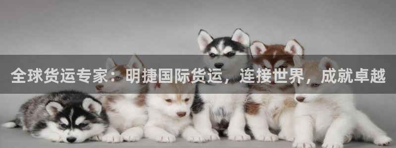 尊龙-人生就是博!：全球货运专家：明捷国际货运，连接世界