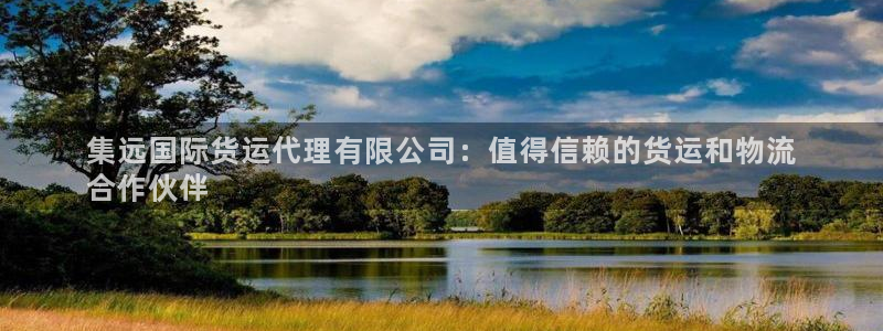 尊龙官方：集远国际货运代理有限公司：值得信赖的货运和物流