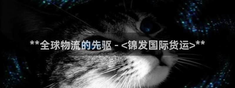 尊龙官网/首选kpm：**全球物流的先驱 - <锦发国际