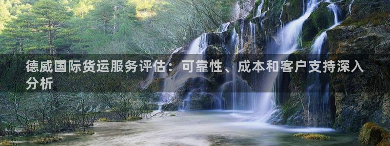 尊龙网站人生就是博：德威国际货运服务评估：可靠性、成本和