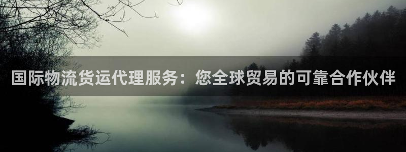 z6尊龙凯时：国际物流货运代理服务：您全球贸易的可靠合作