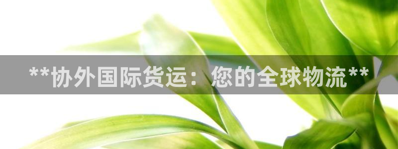 尊龙凯时里面的洗码：**协外国际货运：您的全球物流**