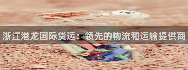 尊龙凯时法充十万返现多少：浙江港龙国际货运：领先的物流和