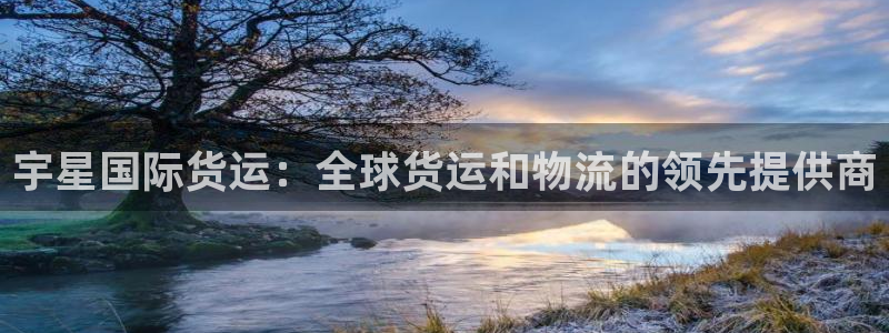 尊龙人生就是博网站下载：宇星国际货运：全球货运和物流的领