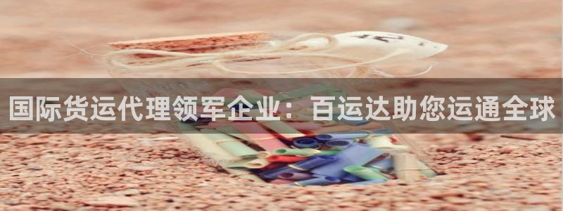 尊龙凯时企业文化：国际货运代理领军企业：百运达助您运通全