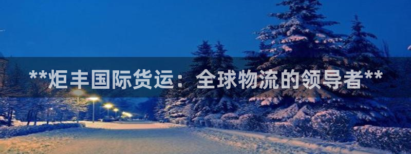 尊龙 5：**炬丰国际货运：全球物流的领导者**