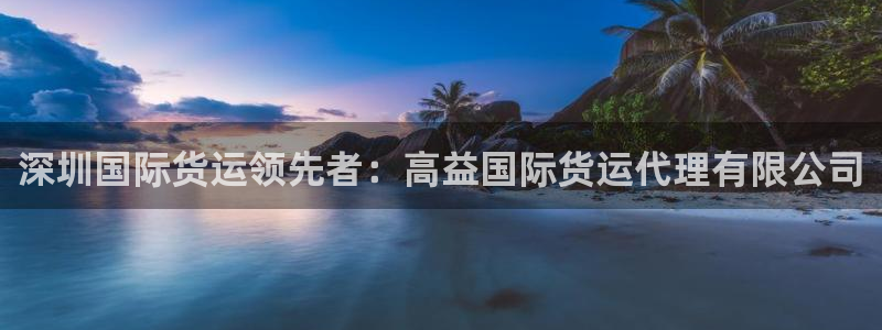 尊龙平台登录：深圳国际货运领先者：高益国际货运代理有限公