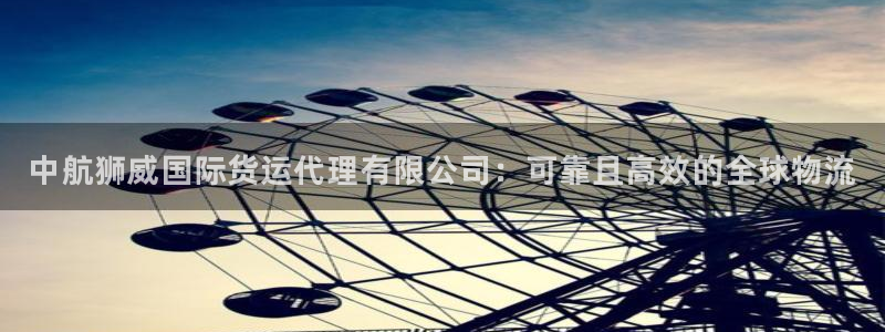 尊龙AG发财网：中航狮威国际货运代理有限公司：可靠且高效