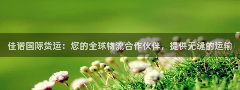 尊龙d88官网so问来就送38：佳诺国际货运：您的全球物