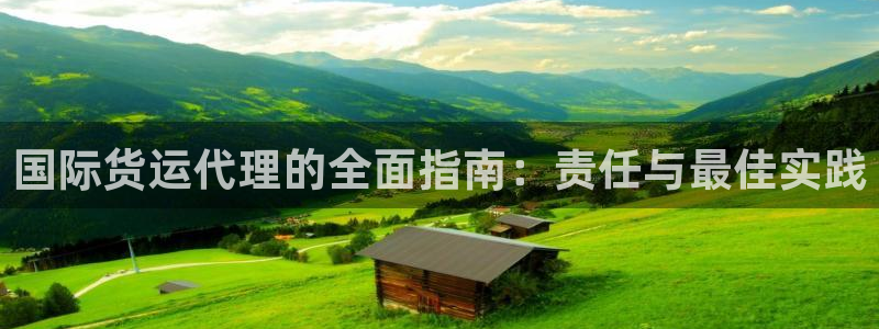 尊龙凯时人生就是搏客户：国际货运代理的全面指南：责任与最