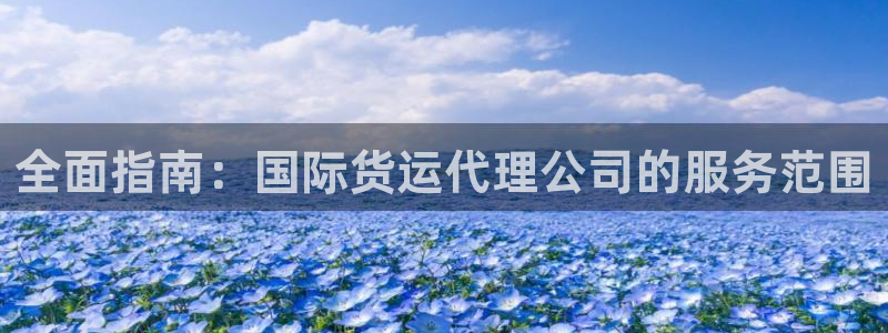 尊龙人生就是博旧版网址：全面指南：国际货运代理公司的服务