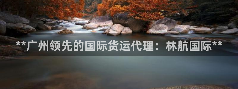 尊龙网站手机下载：**广州领先的国际货运代理：林航国际*