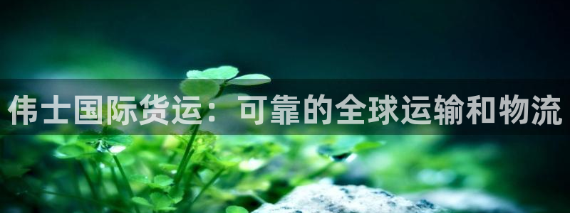 尊龙人生就是博旧版网址：伟士国际货运：可靠的全球运输和物