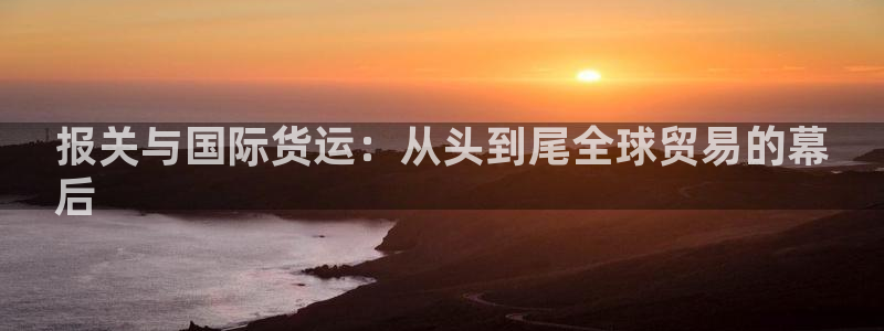 尊龙z6平台：报关与国际货运：从头到尾全球贸易的幕
后