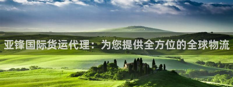 尊龙t300和t400哪个好：亚锋国际货运代理：为您提供
