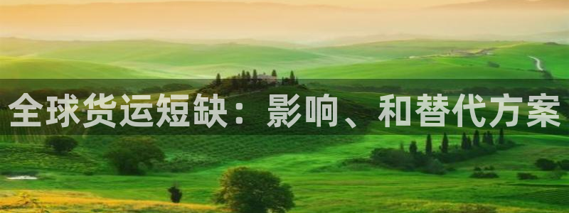 尊龙凯时家居是品牌吗：全球货运短缺：影响、和替代方案