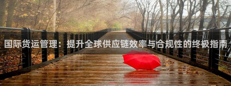 尊龙凯时人生就是搏!官网：国际货运管理：提升全球供应链效