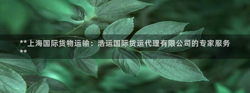 尊龙登录地址：**上海国际货物运输：浩运国际货运代理有限