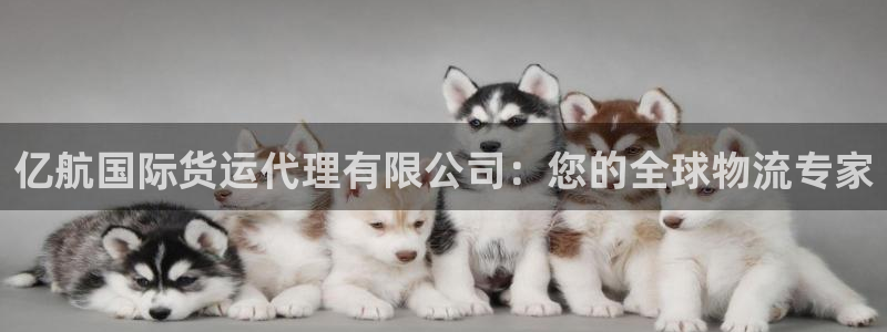 尊龙d88手机版下载：亿航国际货运代理有限公司：您的全球