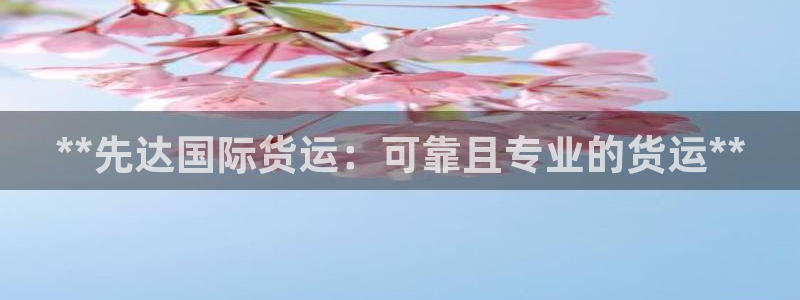 尊龙旗舰app：**先达国际货运：可靠且专业的货运**