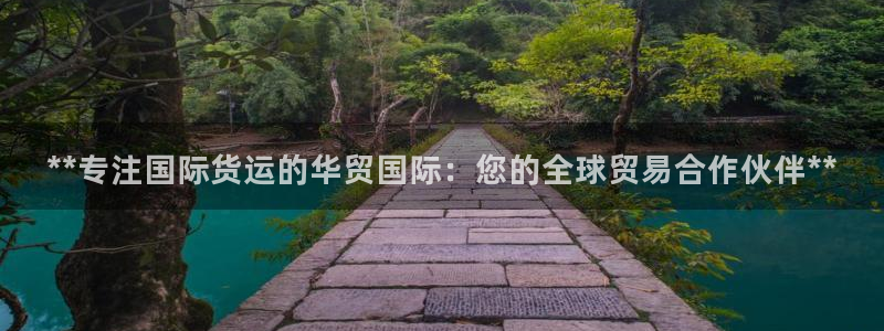 Z6尊龙官网入口：**专注国际货运的华贸国际：您的全球贸