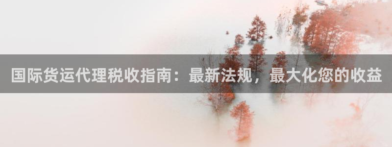 尊龙凯时泰安：国际货运代理税收指南：最新法规，最大化您的