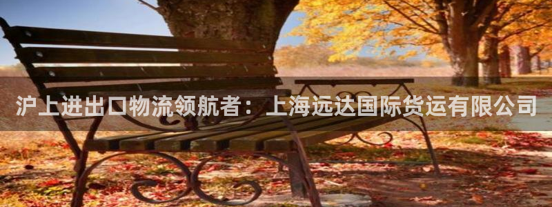 尊龙专访：沪上进出口物流领航者：上海远达国际货运有限公司