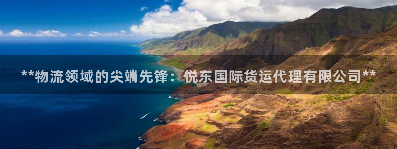 尊龙凯时贴吧：**物流领域的尖端先锋：悦东国际货运代理有