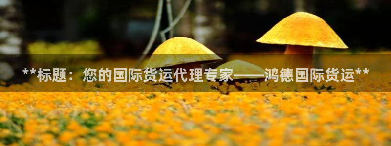 尊龙一人生就是搏：**标题：您的国际货运代理专家——鸿德
