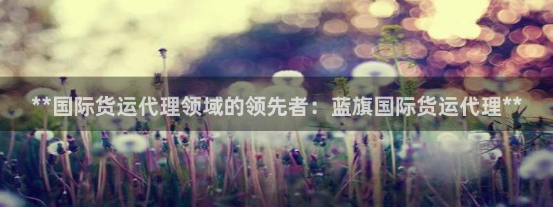 尊龙凯时ag旗舰厅官方网站：**国际货运代理领域的领先者
