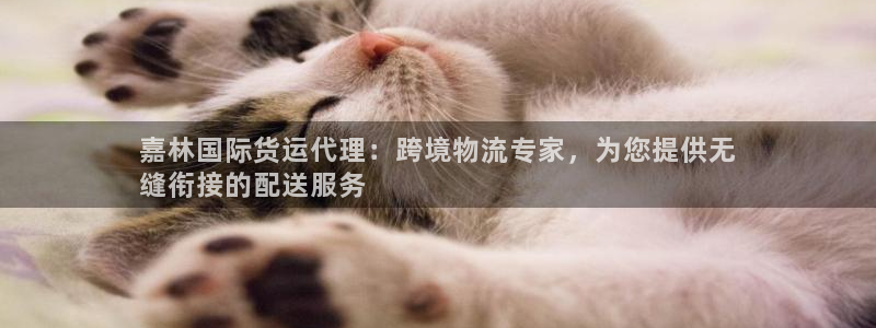 尊龙精品棋牌：嘉林国际货运代理：跨境物流专家，为您提供无