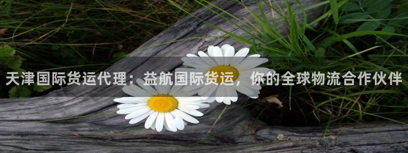 尊龙凯时 人生就是搏客服：天津国际货运代理：益航国际货运