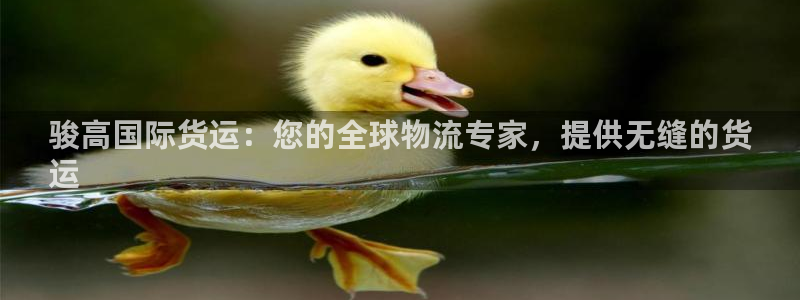 尊龙,人生就是博!登录国际：骏高国际货运：您的全球物流专