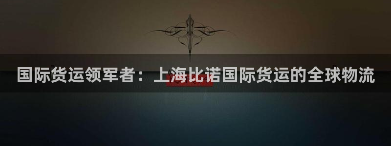 尊龙凯时注册入口：国际货运领军者：上海比诺国际货运的全球