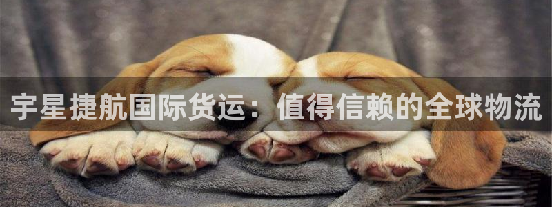 尊龙 5：宇星捷航国际货运：值得信赖的全球物流