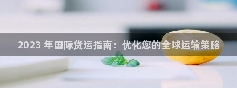 尊龙凯时：2023 年国际货运指南：优化您的全球运输策略