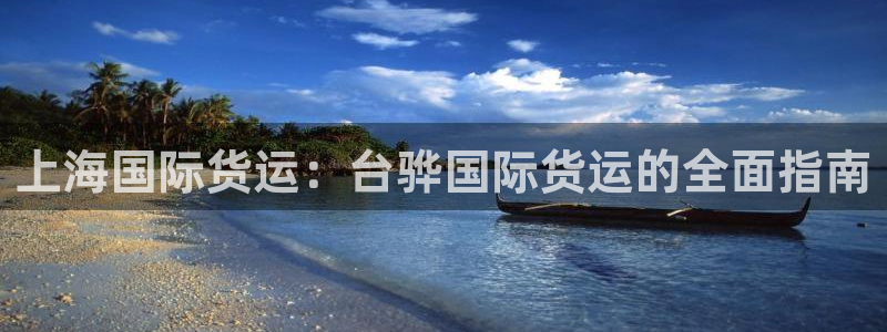 尊龙凯时怎么注销账号：上海国际货运：台骅国际货运的全面指