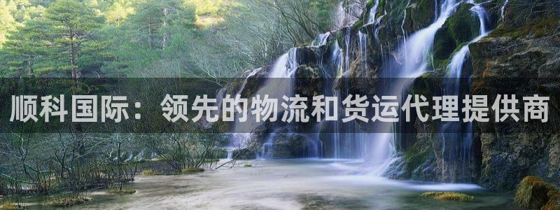尊龙凯时集团：顺科国际：领先的物流和货运代理提供商
