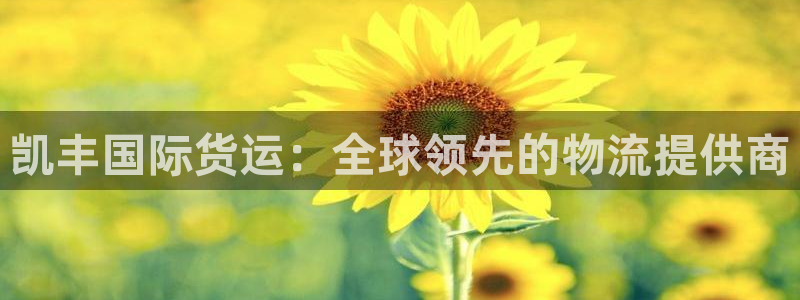 尊龙手机客户端下载：凯丰国际货运：全球领先的物流提供商