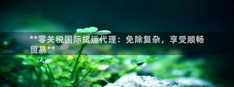 尊龙体育怎么样：**零关税国际货运代理：免除复杂，享受顺