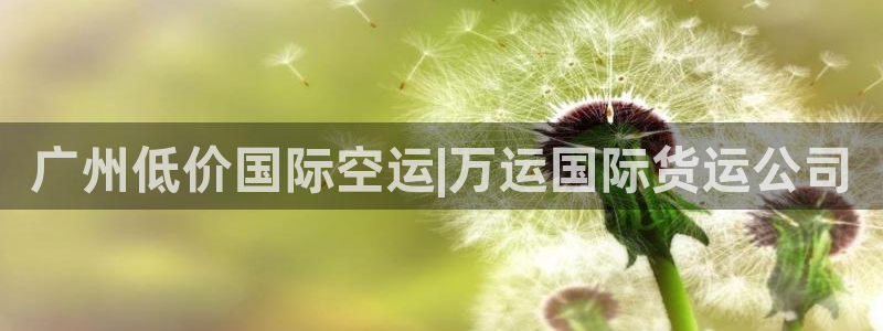 尊龙实业有限公司：广州低价国际空运|万运国际货运公司