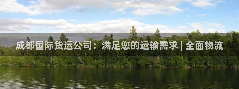 尊龙 am i blue：成都国际货运公司：满足您的运输