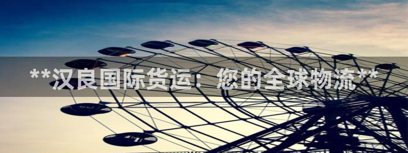 尊龙人生就是博电脑版：**汉良国际货运：您的全球物流**