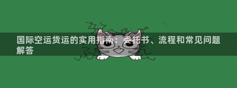 尊龙d88手机app免费下载：国际空运货运的实用指南：委