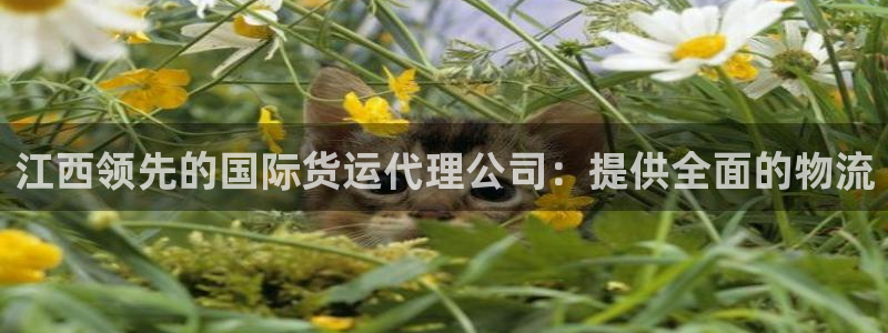 尊龙凯时官网平台：江西领先的国际货运代理公司：提供全面的