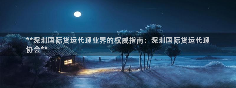尊龙信息科技有限公司：**深圳国际货运代理业界的权威指南