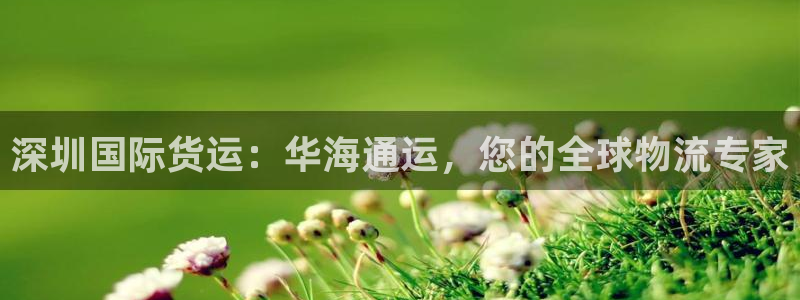 尊龙人生就是博菲律宾台子：深圳国际货运：华海通运，您的全