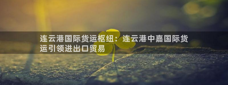 尊龙凯时俱乐部：连云港国际货运枢纽：连云港中嘉国际货
运