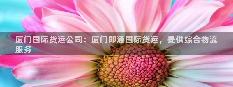 尊龙官网登录·(中国)官方网站-bd SPORTS：厦门