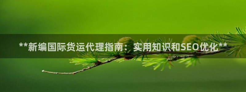 尊龙d88官网去来就送38：**新编国际货运代理指南：实
